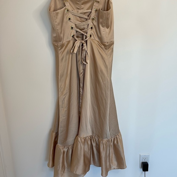 Show Me Your Mumu Clarissa Corset Maxi Dress Champagne - Picture 10 of 10